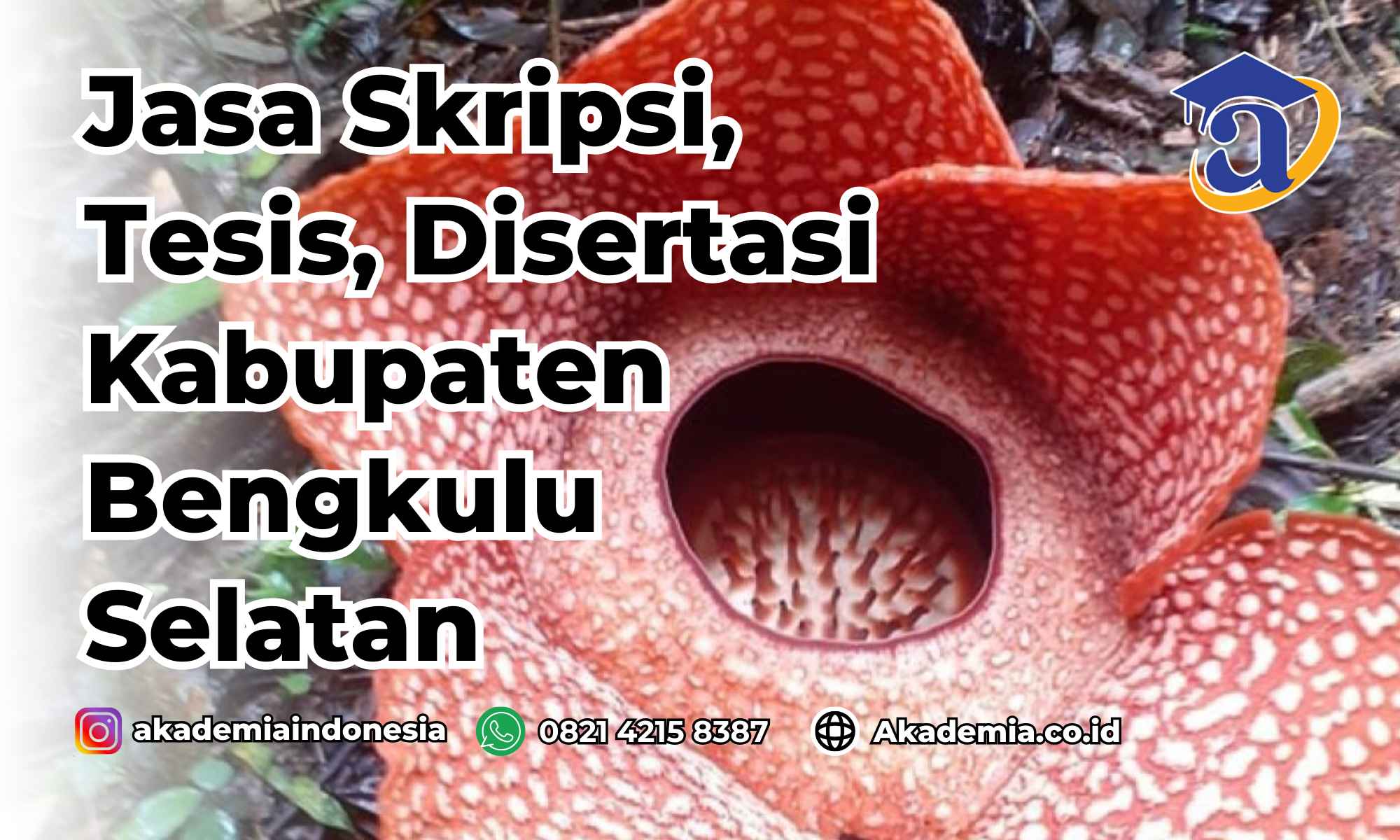 Jasa Disertasi Kabupaten Bengkulu Selatan