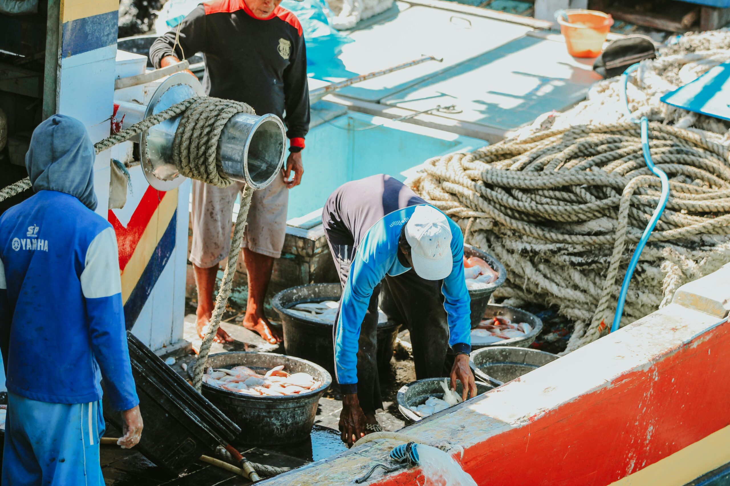 Model Bisnis Keberlanjutan dalam Pengelolaan Sumber Daya Laut